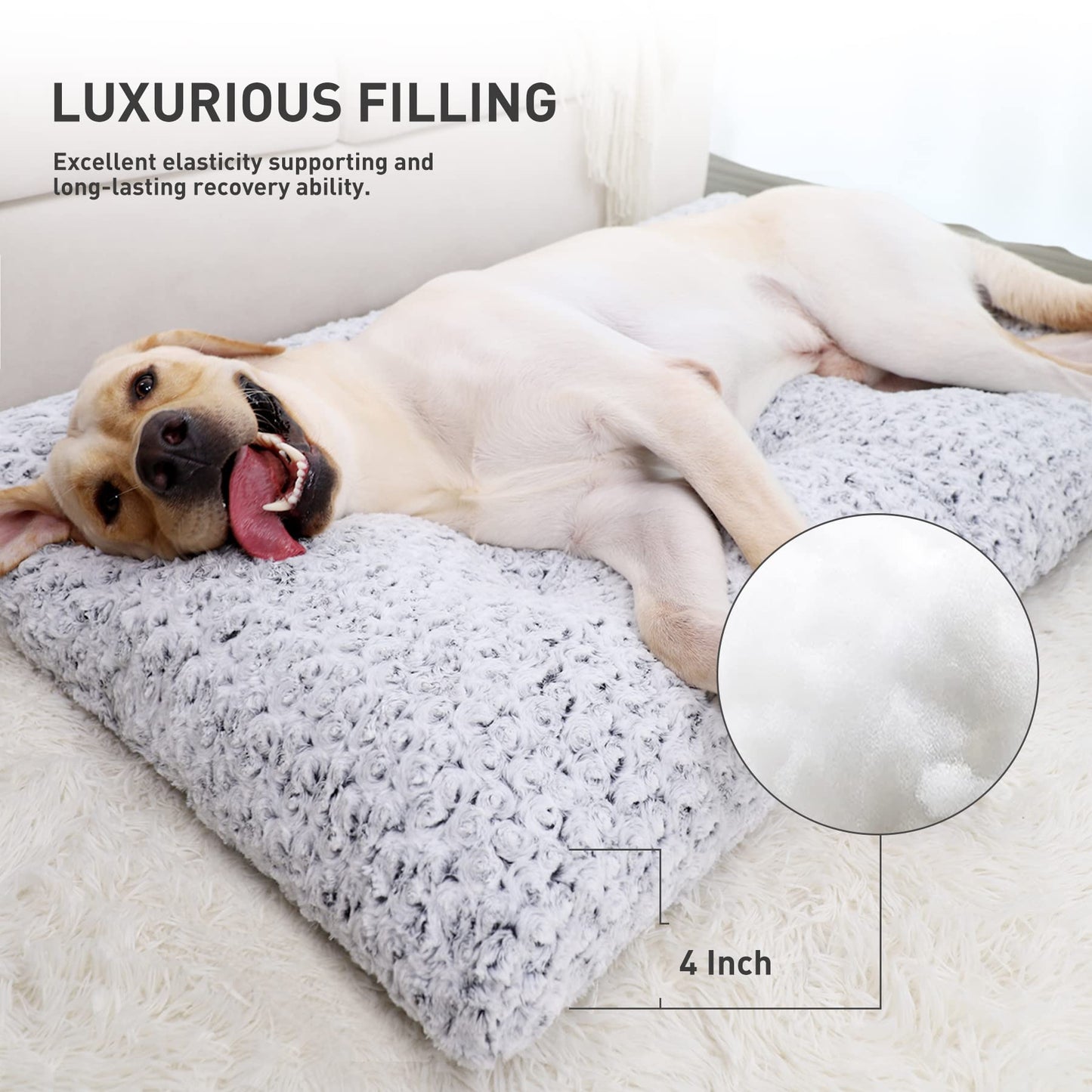 Orthopedic dog bed with 4-inch thick supportive filling
