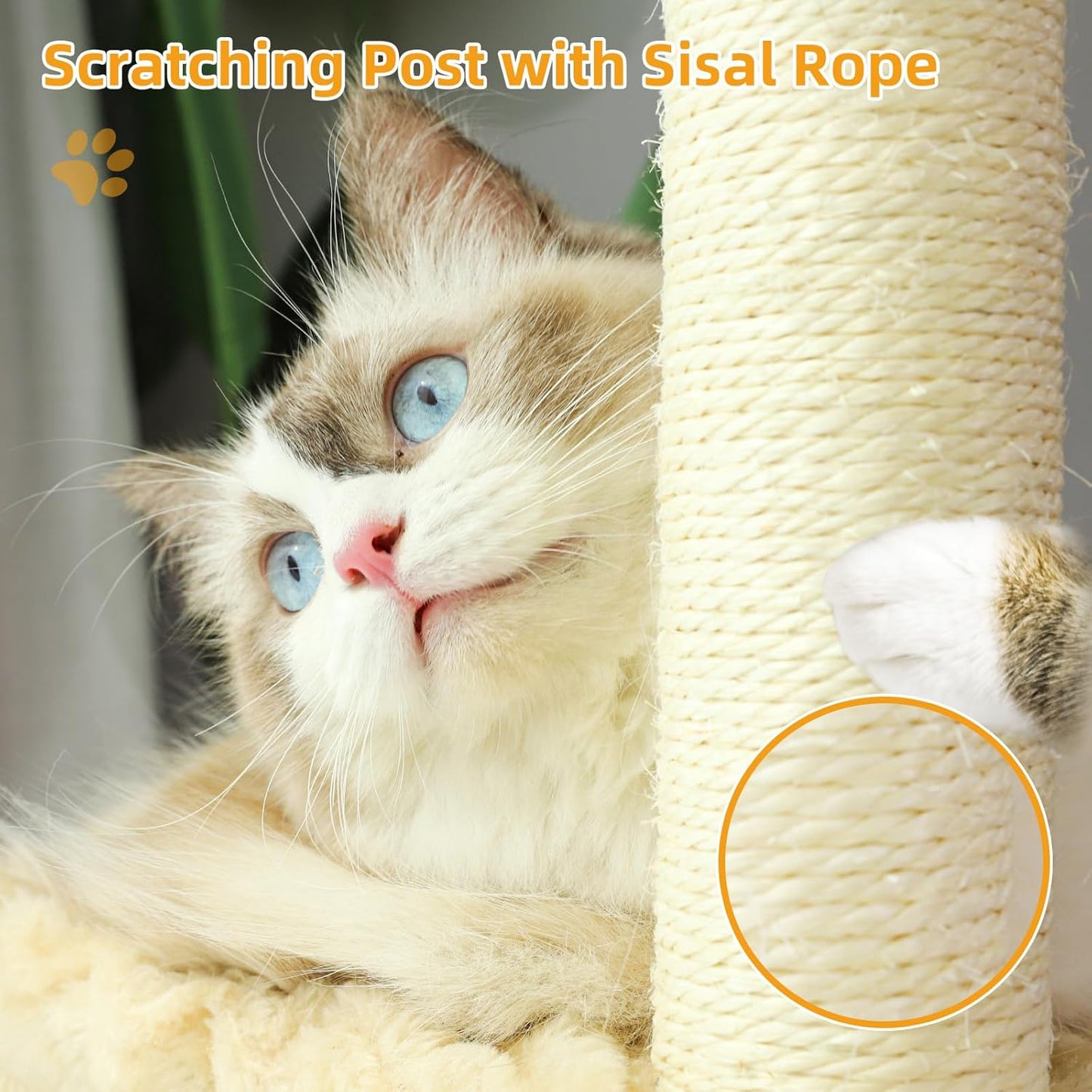 The cat is holding the scratching post with sisal rope.