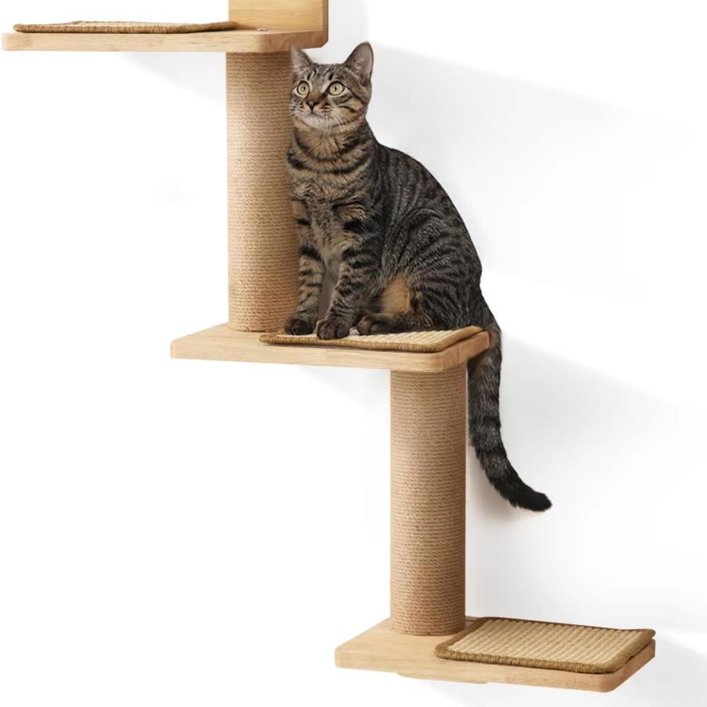 Wall mounted cat climbing shelves with sisal scratching posts and cozy pads for indoor cats