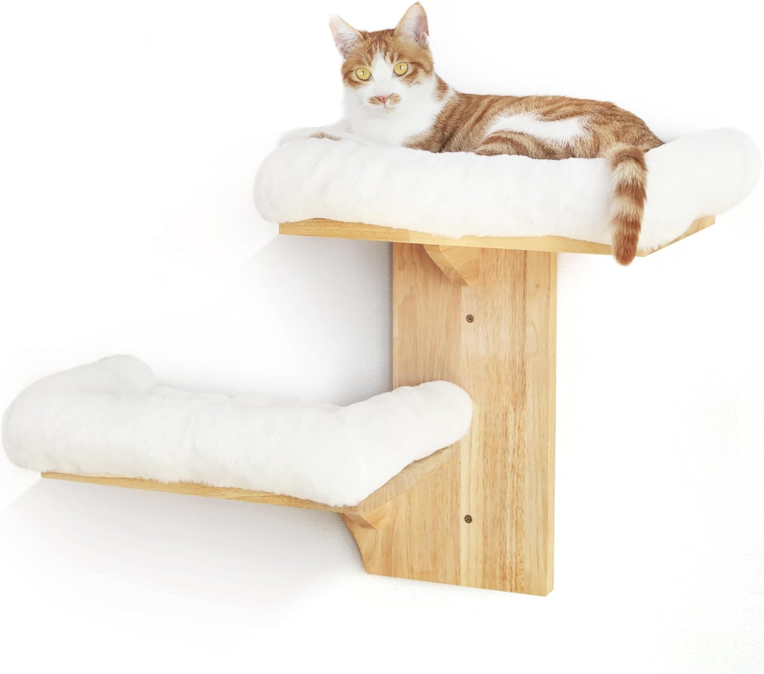 Cat climbing wall with wooden shelves and bridges for indoor cats