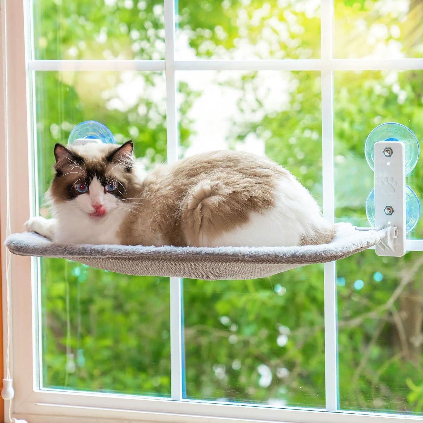 Foldable Cat Window Hammock with Cushion