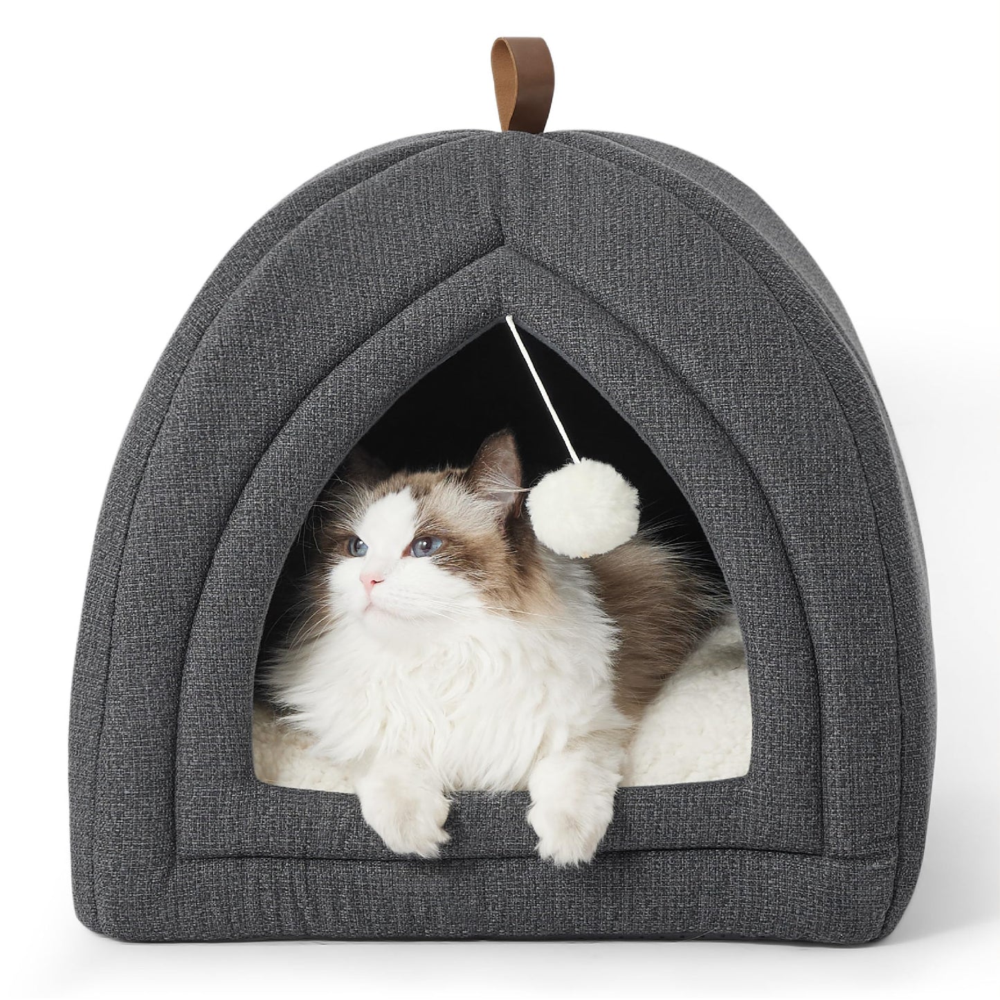The Maine Coon cat is lying in the grey foldable cat cave, with the plush toy ball swinging back and forth.