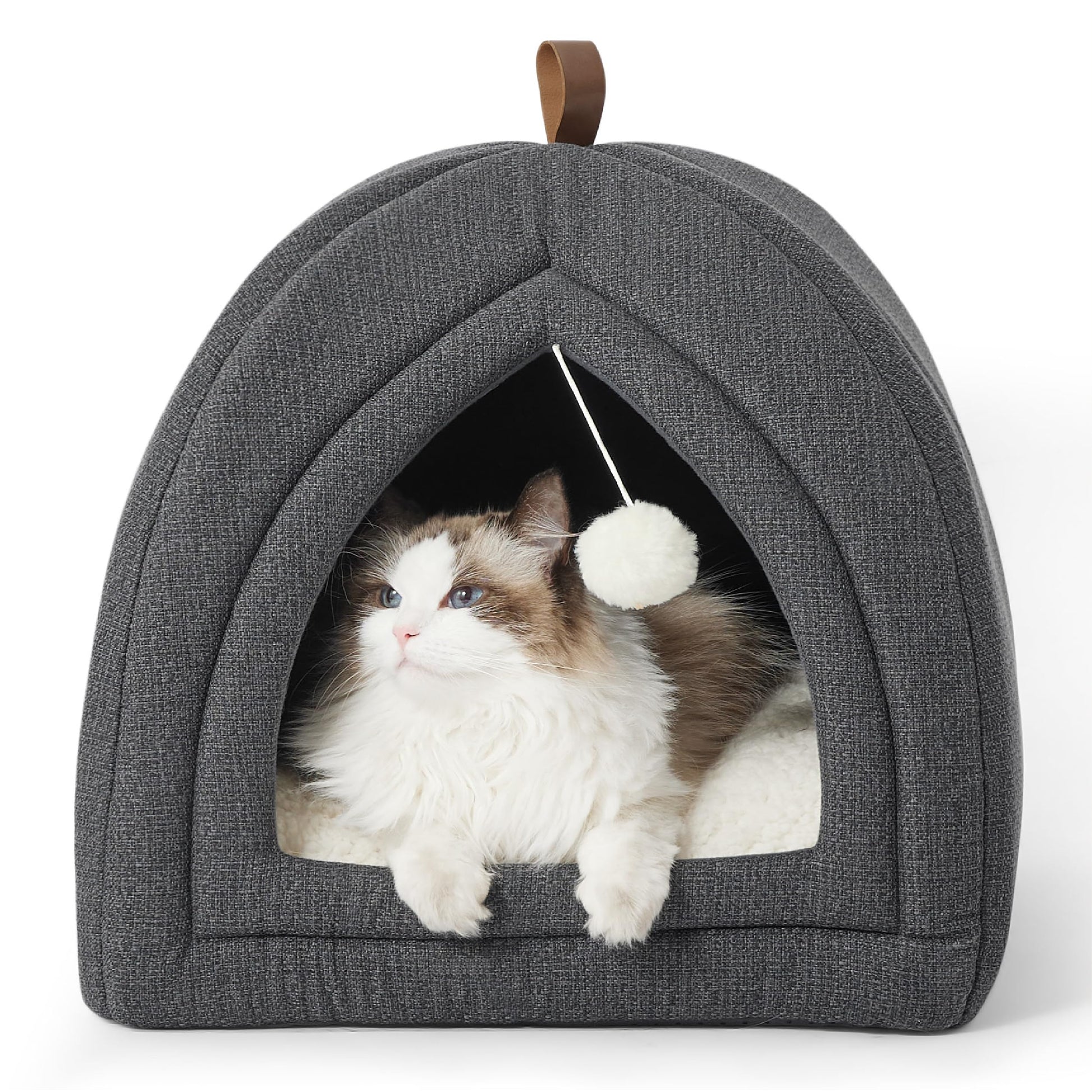 The Maine Coon cat is lying in the grey foldable cat cave, with the plush toy ball swinging back and forth.