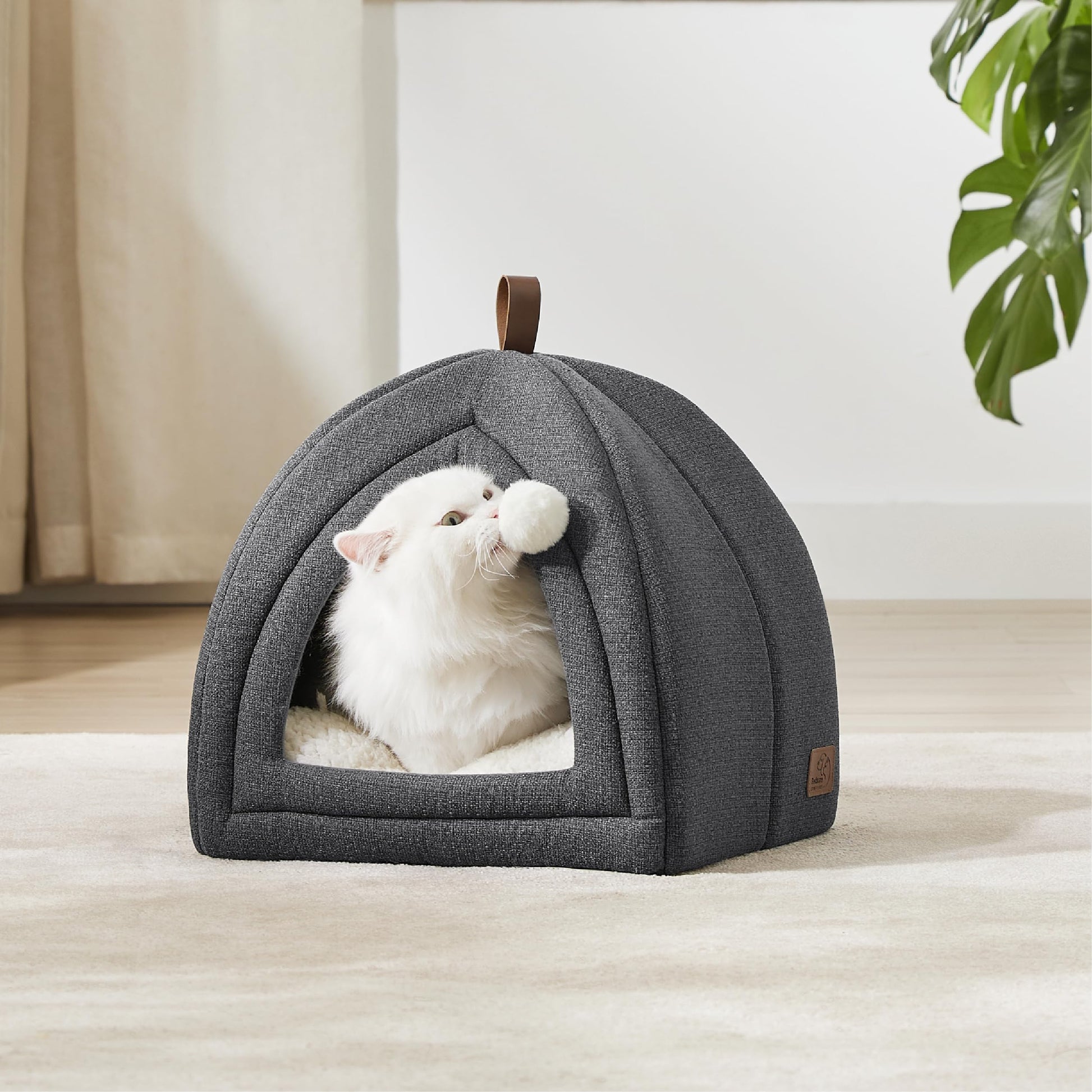 White cat in foldable cat cave play toy ball in living room