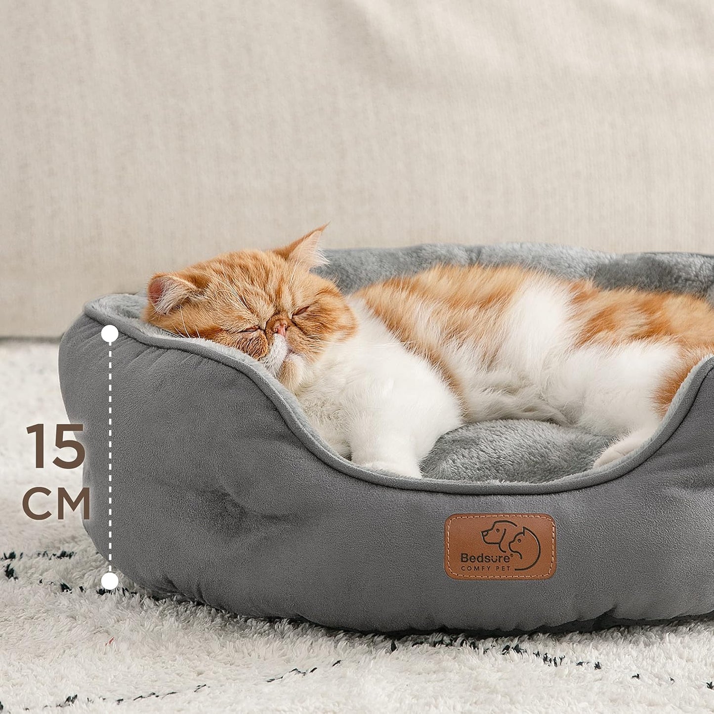 A British shorthair cat is lying on a round cat bed with a 15cm-tall wall.