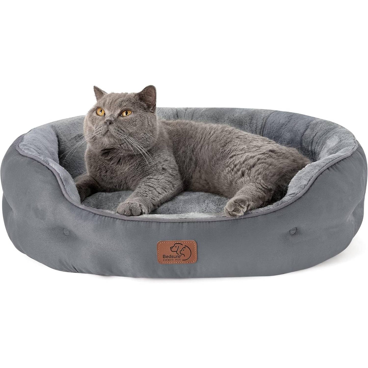A British Shorthair cat on a grey round cat bed  on white background, by Little Whisker