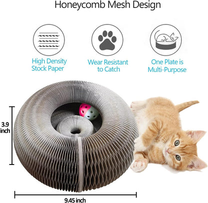 Honeycomb cat scratcher with ball and size reference next to kitten