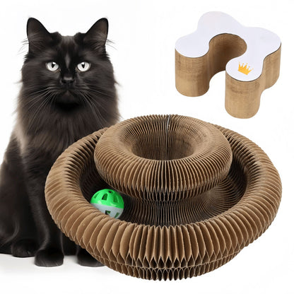 Black cat beside cardboard donut-shaped scratcher toy with green ball