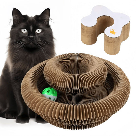 Black cat beside cardboard donut-shaped scratcher toy with green ball