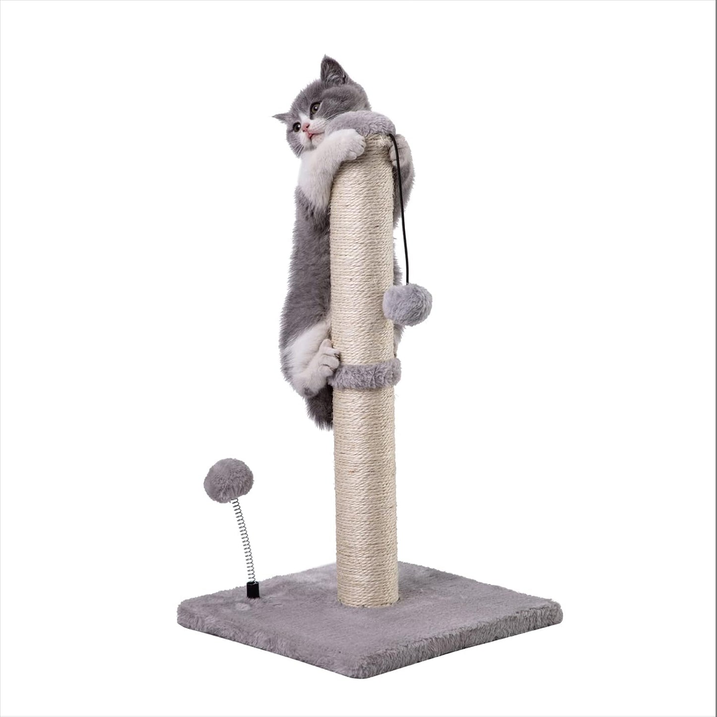 Arbre à chat pour chaton avec jouet suspendu