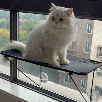 Hamac de fenêtre pour chat avec perchoir mural