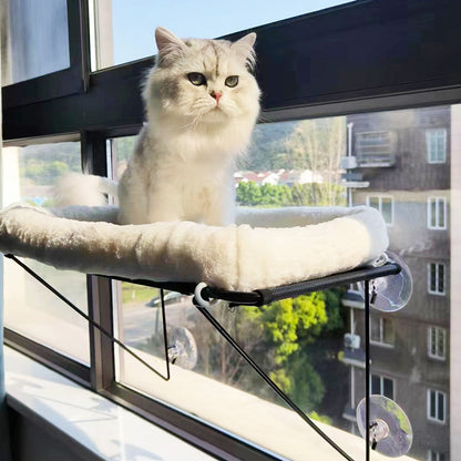 Cat lounging on suction-mounted window hammock perch with plush bed