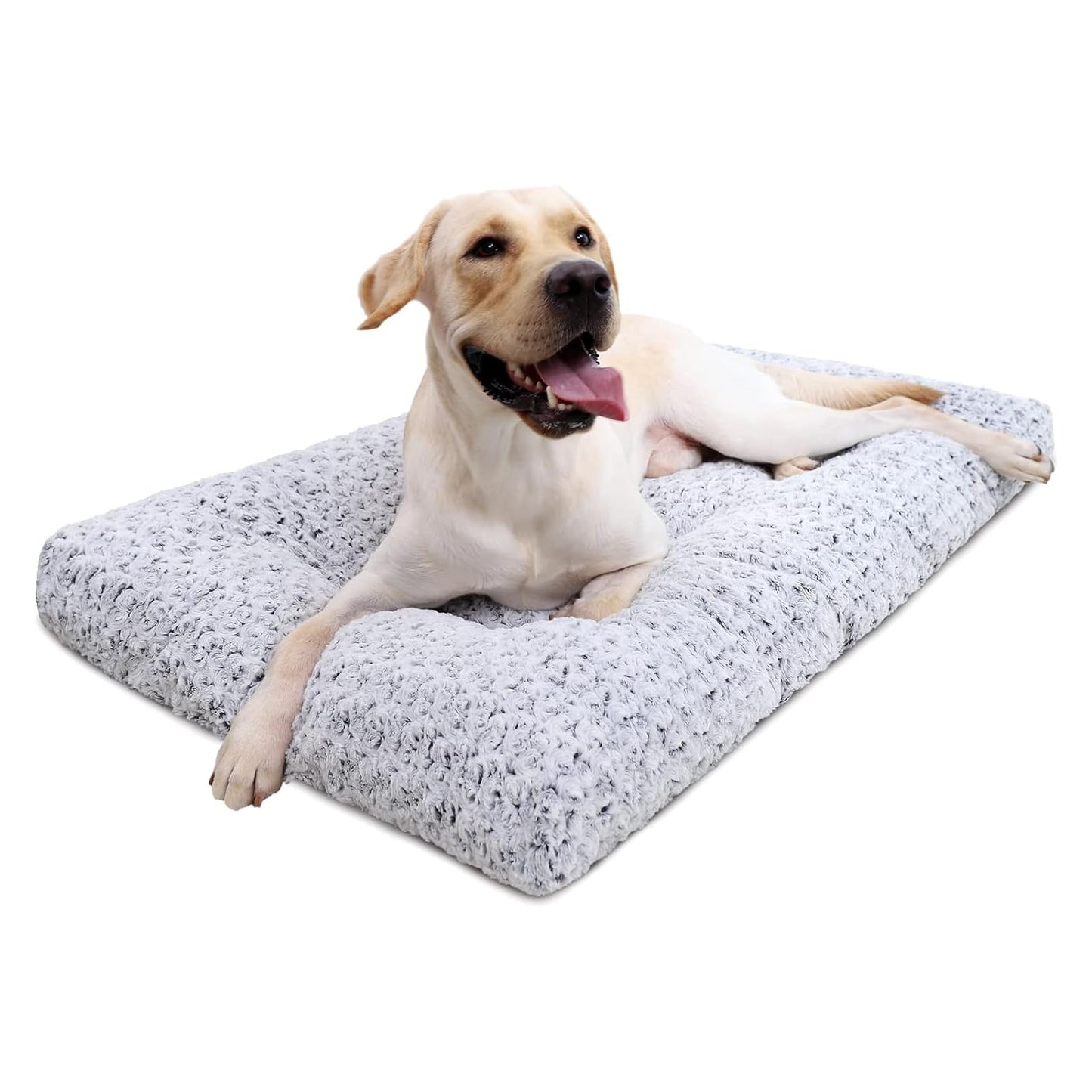 Labrador lying on a fluffy grey plush dog bed