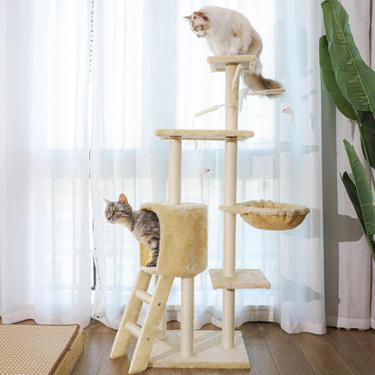 A cat is standing in the condo, and another cat is sitting on the top platform.