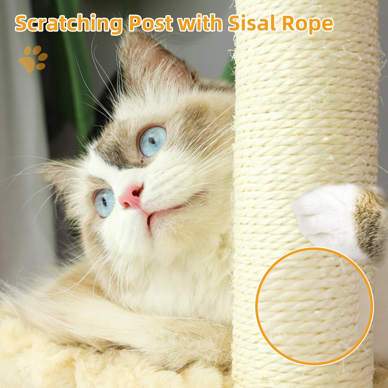 The cat is holding the scratching post with sisal rope.